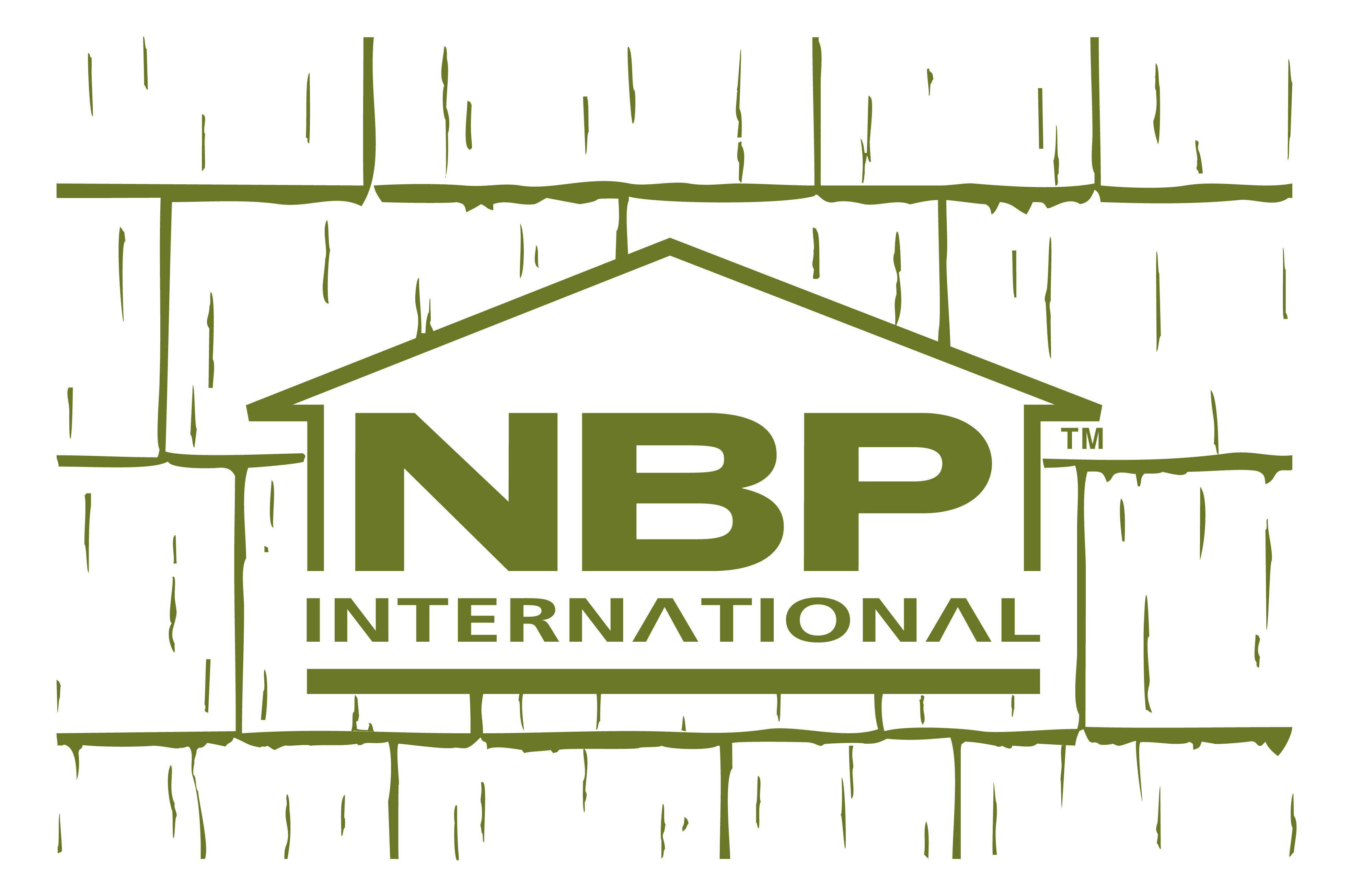 NBP Logo.jpg (449043 bytes)